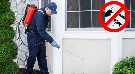 Akyurt Karınca İlaçlama böcek ilaçlama ve haşere kontrolü — ilaclama-tr.com